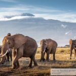 4 Sanctuaries to Visit in Arunachal Pradesh